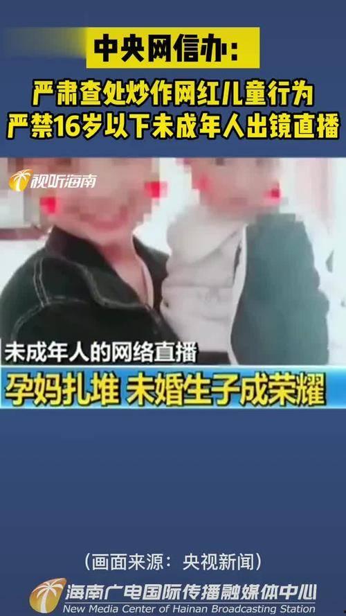 网红二十四部,揭秘网络红人的崛起之路